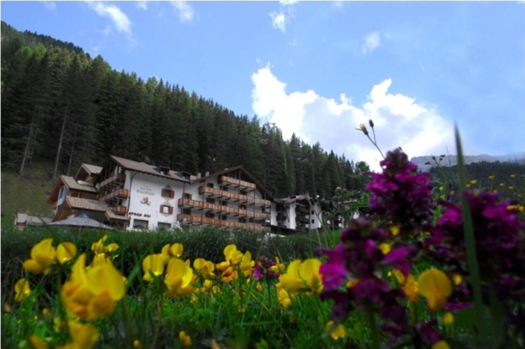 Hotel Scoiattolo Tesero Dış mekan fotoğraf